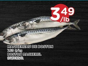 Kim Phat Boston mackerel offer