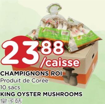 Kim Phat King oyster mushrooms offer