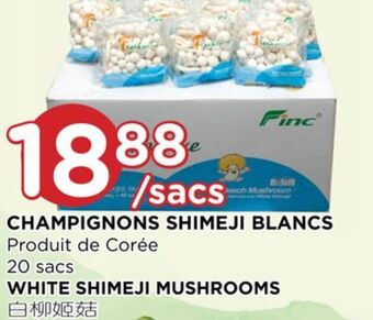 Kim Phat White shimeji mushrooms offer