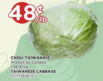 Kim Phat Taiwanese cabbage offer