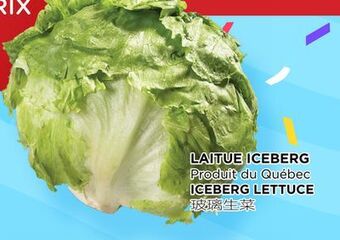 Kim Phat Iceberg lettuce offer