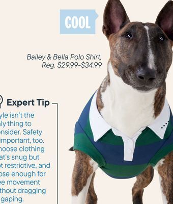 Petvalu Bailey & bella polo shirt offer