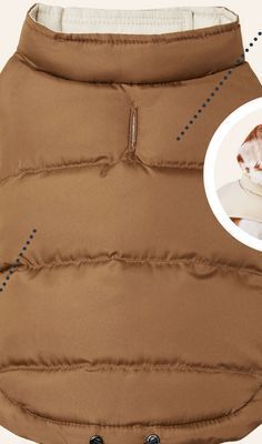 Petvalu Bailey & bella reversible vest offer