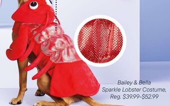 Petvalu Bailey & bella sparkle lobster costume offer