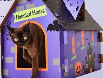 Petvalu Bailey & bella celebrates scratch house offer
