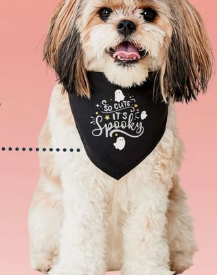 Petvalu Bailey & bella celebrates so cute it's spooky bandana offer