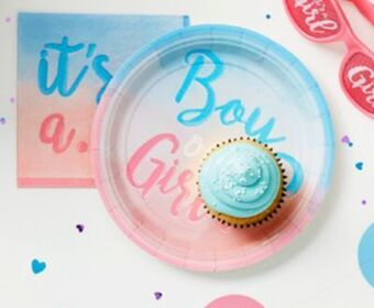 Party City It's a girl or it's a boy gender reveal sunglasses, pink/blue, one size, 2-pk, wearable accessories for baby shower/gender re offer