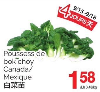 T&T Supermarket Poussess de bok choy offer