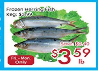 Sunny Food Mart Frozen herring fish offer