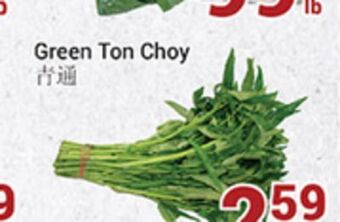 Oceans Fresh Food Market Green ton choy offer