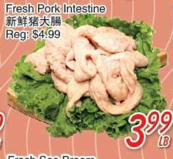 Foody Mart Fresh pork intestine offer