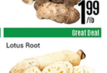 Nations Fresh Foods Lotus root offer