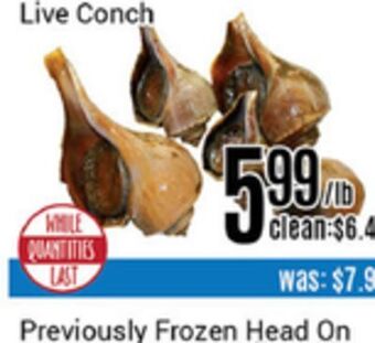 Nations Fresh Foods Live conch offer