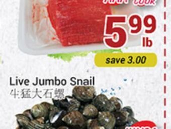Oceans Fresh Food Market Live jumbo snail offer