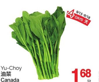 T&T Supermarket Yu-choy offer