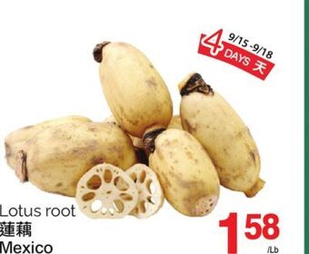 T&T Supermarket Lotus root offer