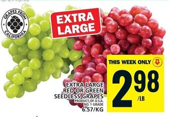 Food Basics EXTRA LARGE RED OR GREEN SEEDLESS GRAPES offer