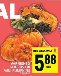Food Basics VARNISHED GOURDS OR MINI PUMPKINS 3.5 LB BAG offer