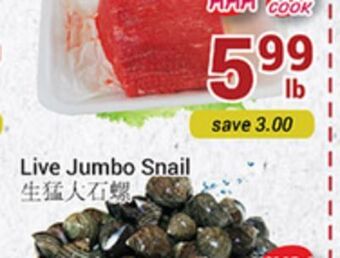 Oceans Fresh Food Market Live jumbo snail offer