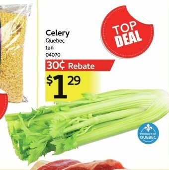 Mayrand Celery offer