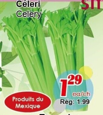 Marche C&T Celery offer