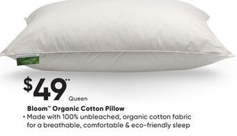 Sleep Country Bloom organic cotton pillow offer