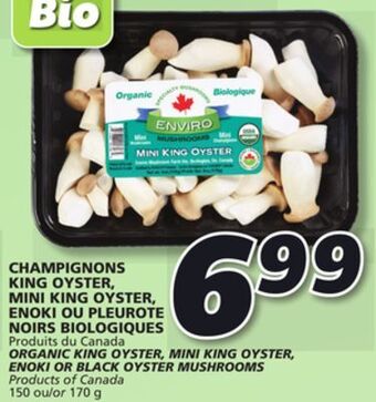 IGA Organic king oyster, mini king oyster, enoki or black oyster mushrooms offer