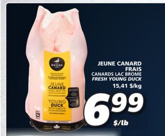 IGA Canards lac brome fresh young duck offer