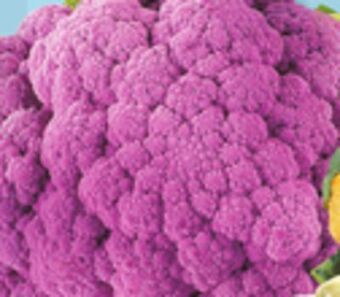 IGA Purple cauliflower offer