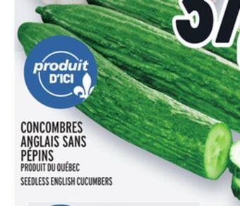 Metro Concombres anglais sans pépins | seedless english cucumbers offer