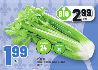 Metro Céleri | celery offer