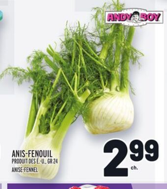 Metro Anis-fenouil andy boy | andy boy anise-fennel offer