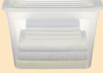 Canadian Tire Type a 39l clear tote offer