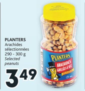 Brunet Planters arachides sélectionnées offer