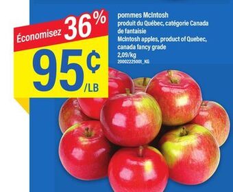 Maxi Pommes mcintosh offer