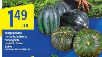 Maxi Courge poivrée, musquée, buttercup ou spaghetti offer