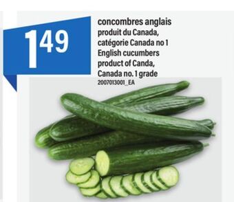 Maxi Concombres anglais offer