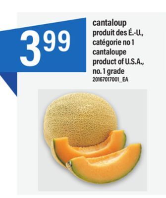 Maxi Cantaloup offer