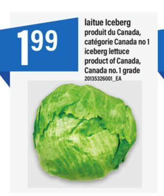 Maxi Laitue iceberg offer