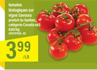 Maxi Tomates biologiques sur vigne savoura offer