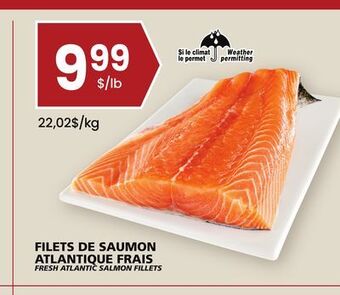 Rachelle-Bery Grocery Fresh atlantic salmon fillets offer