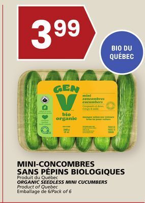 Rachelle-Bery Grocery Organic seedless mini cucumbers offer