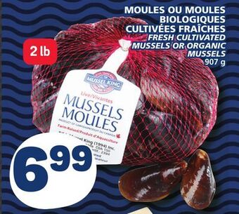 Marché Bonichoix Fresh cultivated mussels or organic mussels offer
