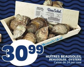 Marché Bonichoix Beausoleil oysters offer
