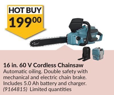 Princess Auto 16 in. 60 v cordless chainsaw offer
