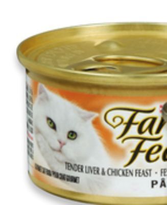 Walmart Purina fancy feast wet cat food singles offer