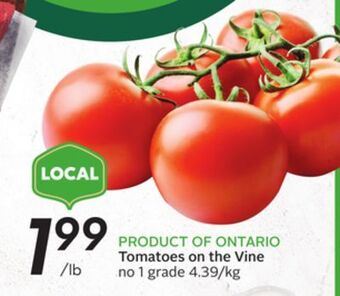 Sobeys Tomatoes on the vine offer