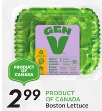 Sobeys Boston lettuce offer