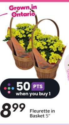 Sobeys Fleurette in basket offer