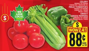 Food Basics Celery or field tomatoes or sweet green peppers offer